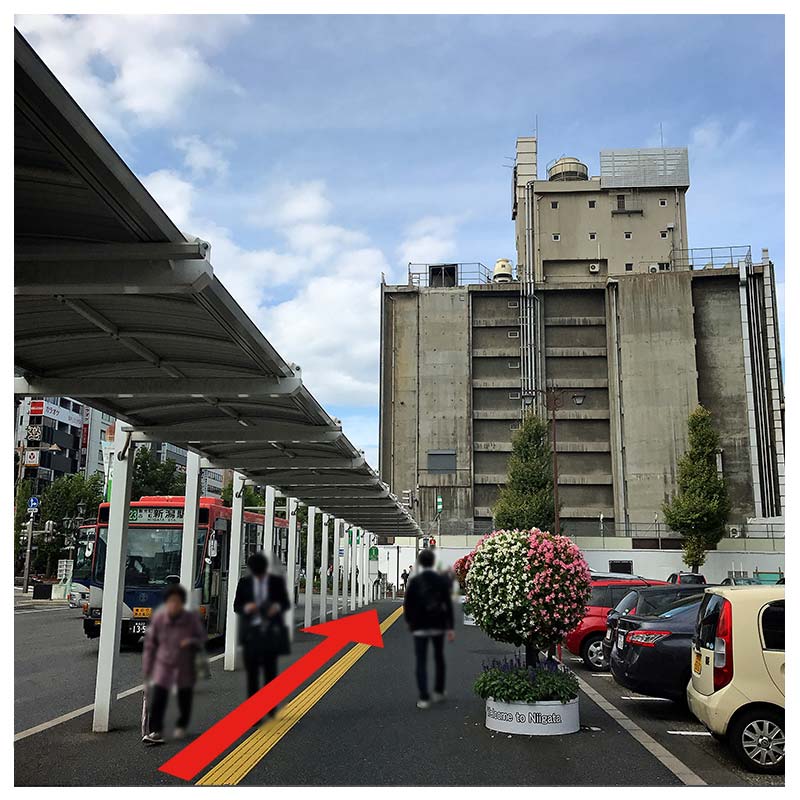 新潟駅前ロータリーのバスターミナルを通過。